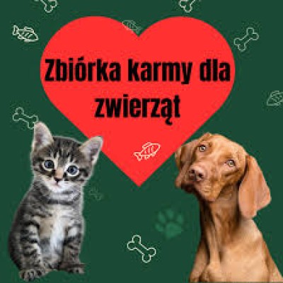 zbiórka, schronisko, psy, pomoc, wsparcie